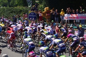 CDF_2016_15.jpg