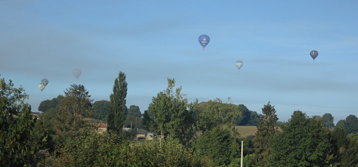 IMG_3966_2.jpg